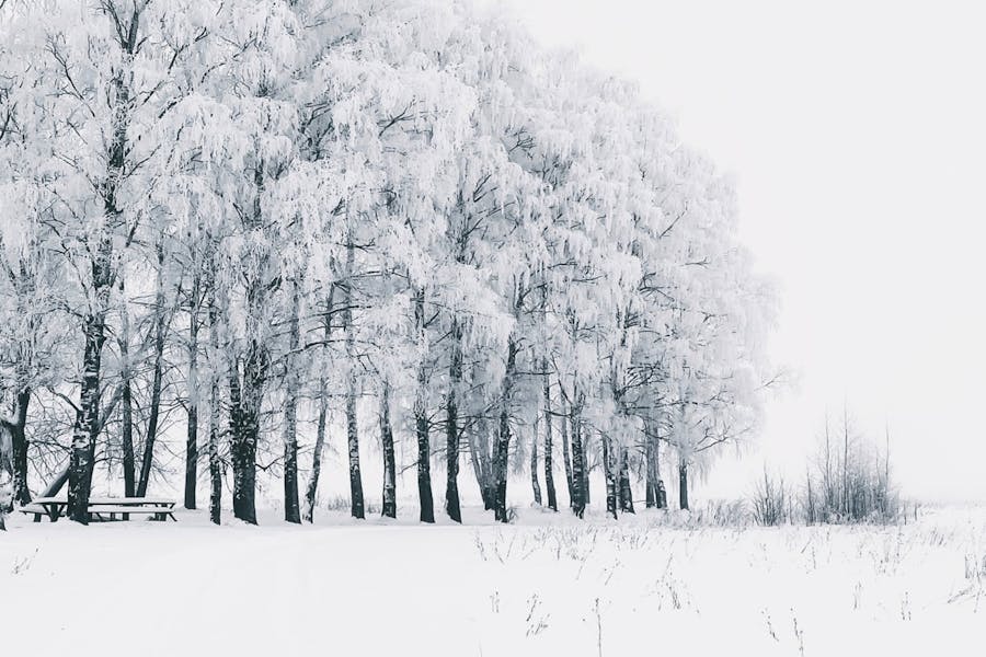 Does It Snow in Africa? Rare Snow Zones, Facts & Climate Secrets 2025 Does It Snow in Africa