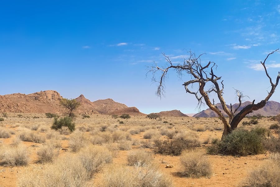 Why Is Africa So Underdeveloped? The Real Causes Behind Africa’s Growth Struggles Why Is Africa So Underdeveloped